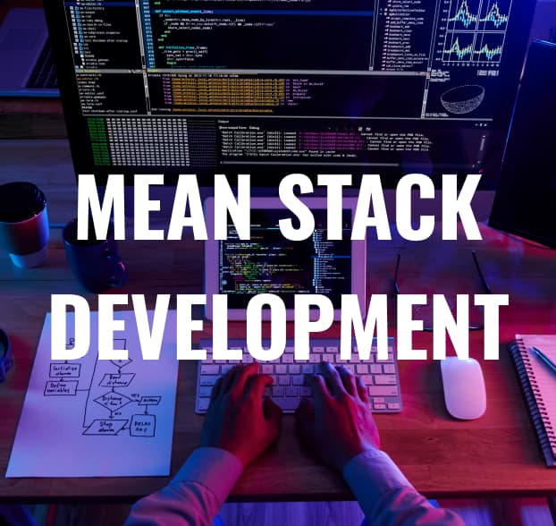 MEAN stack training visual