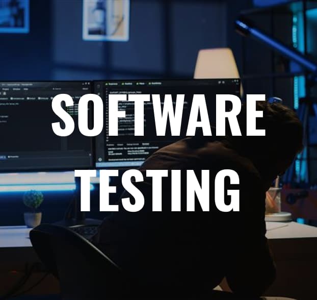 Software Testing